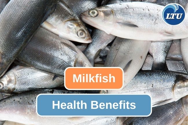 4 Health Benefits You Can Get From Milkfish